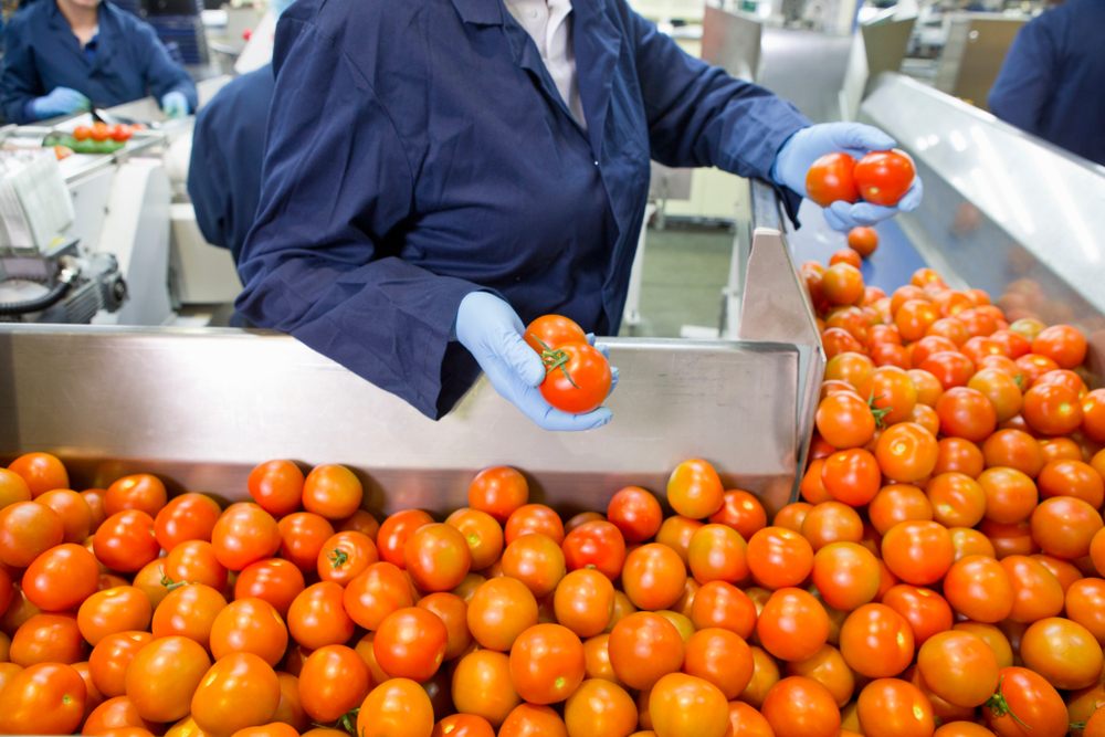 food industry, technology