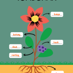 tumbuhan, biologi, sains, isi ruang kosong, stem is fun