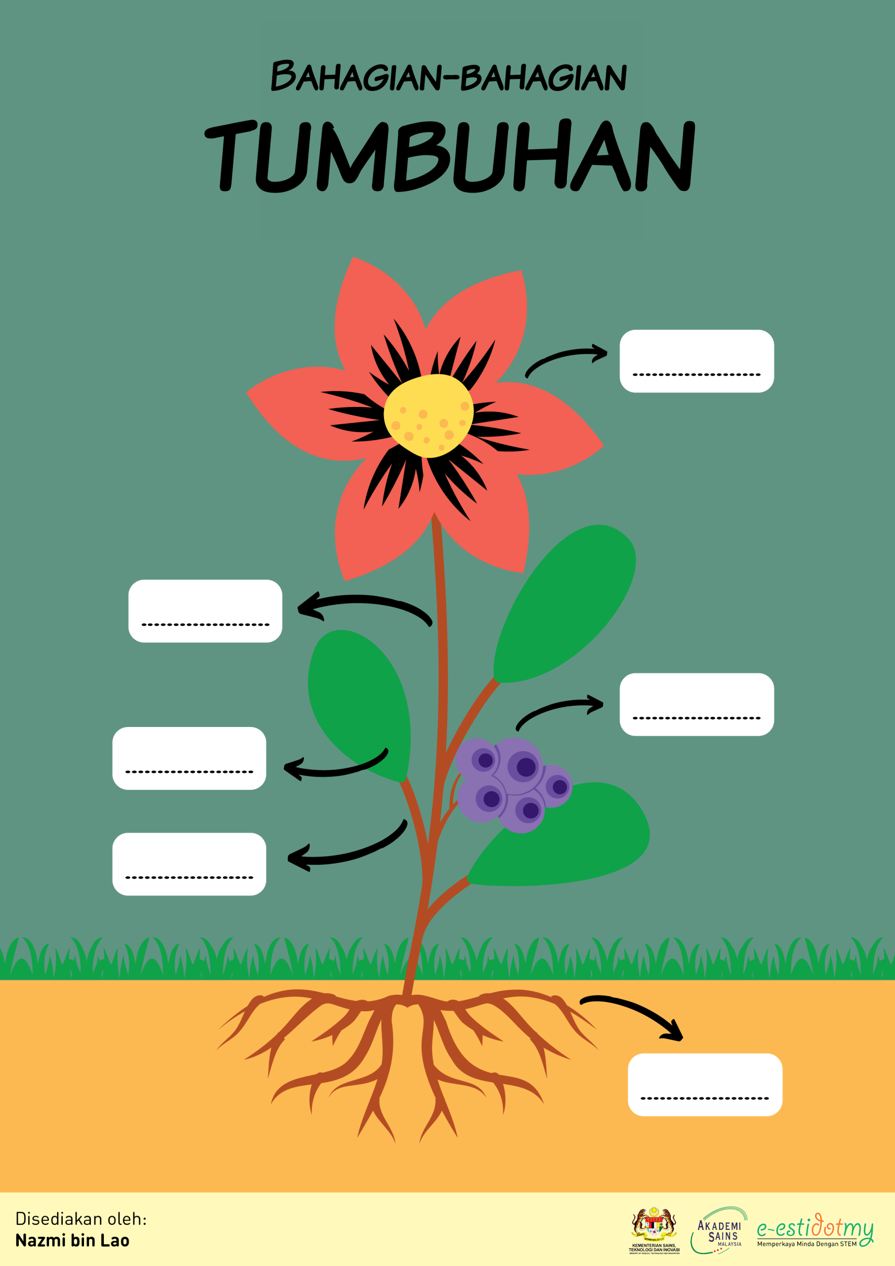 tumbuhan, biologi, sains, isi ruang kosong, stem is fun