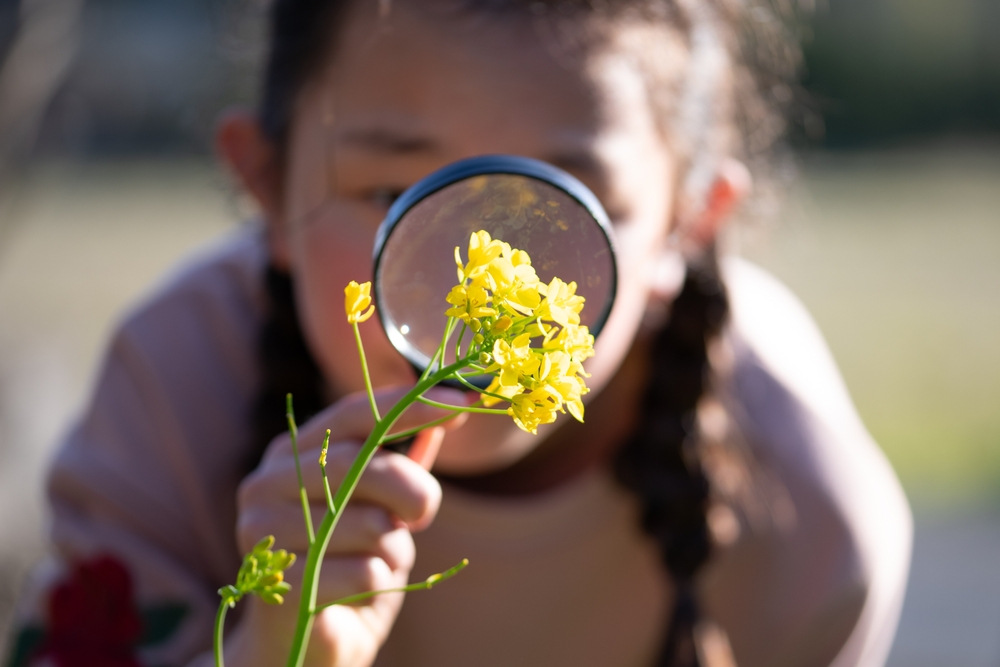 citizen scientist, girl, flower, blossom