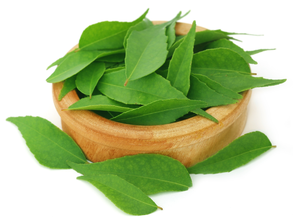 curry leaves, curry tree, health, botany, plant science, biology