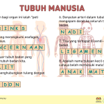 tubuh manusia, sains, biologi